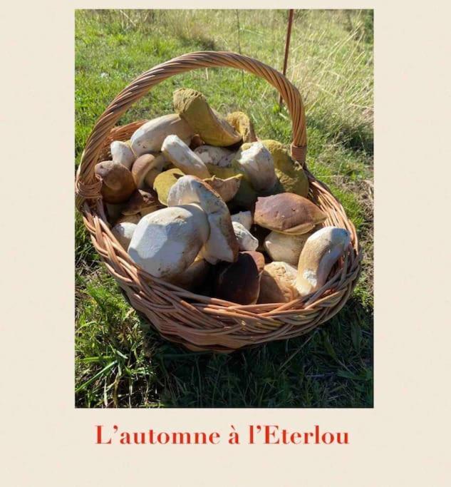Targassonne L'Eterlou Authentique Partie De Corps De Ferme 10Pers. 빌라 외부 사진